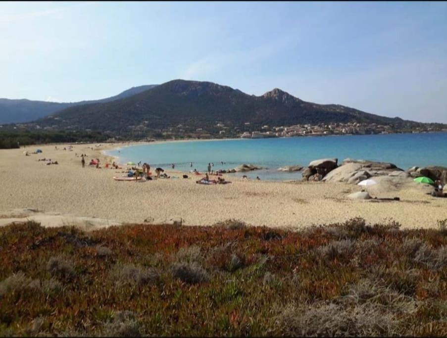T2 Neuf Climatise Dans Villa A Corbara Exterior foto